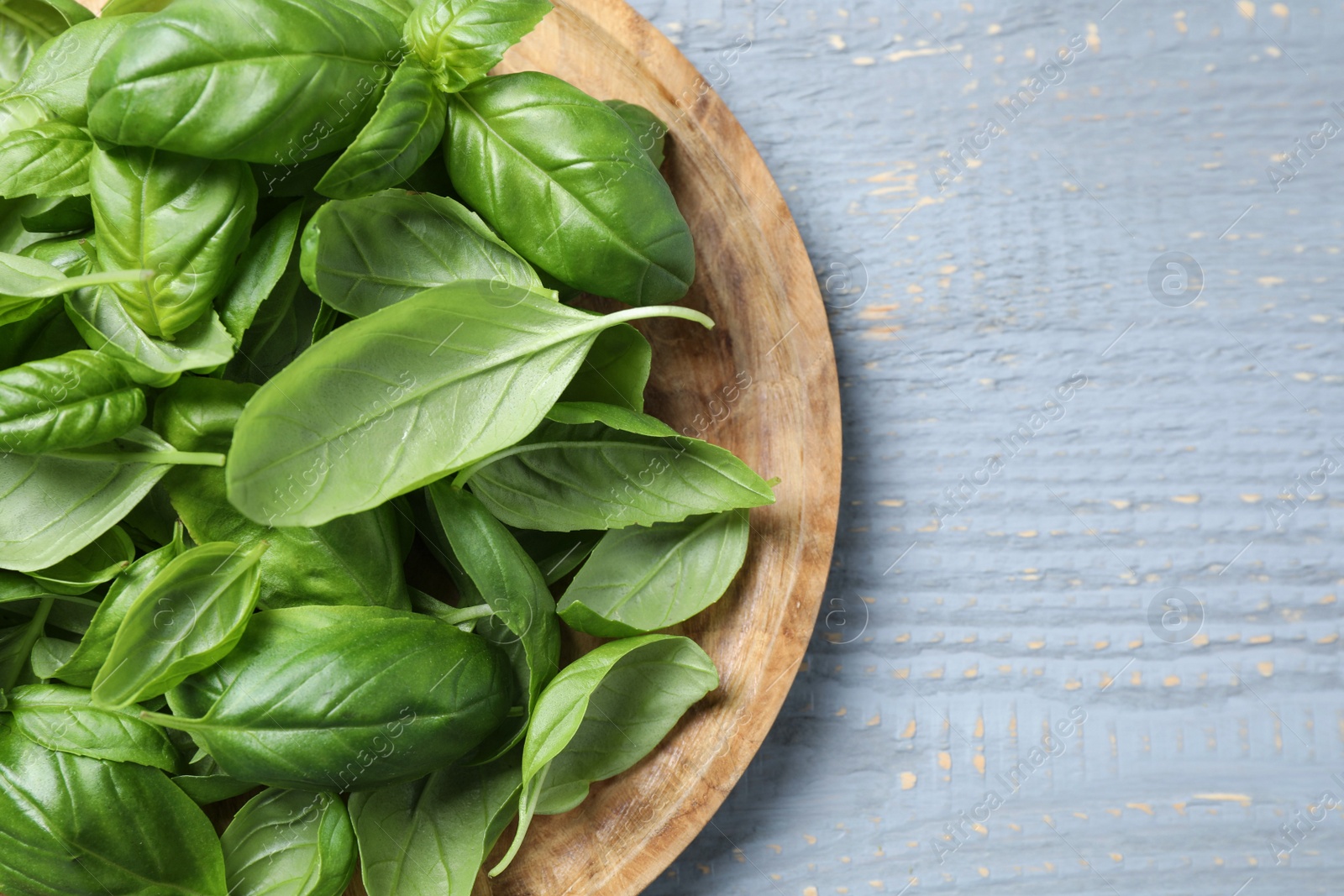 Photo of Fresh green basil on light grey wooden table, top view. Space for text