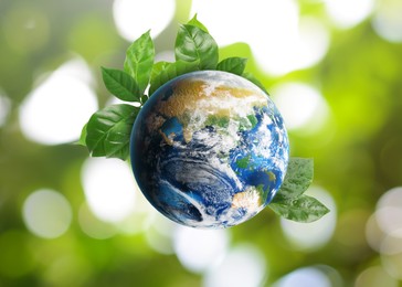 Recycling concept. Earth planet with green leaves on blurred background