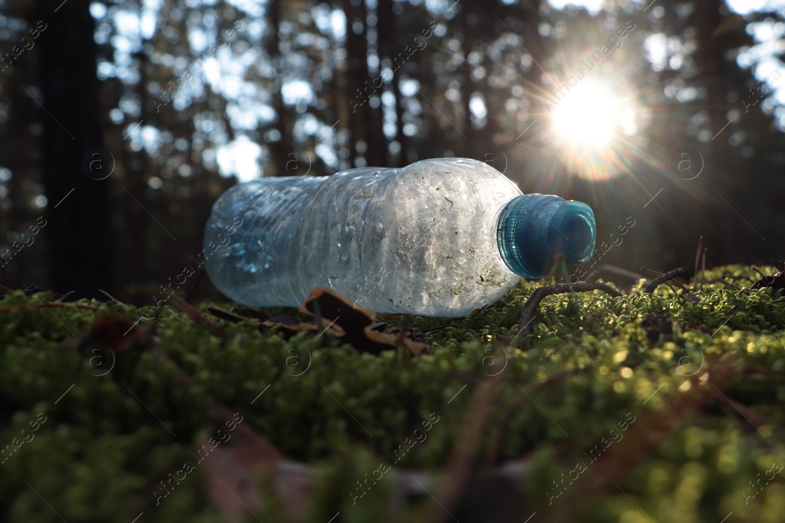 Photo of Used plastic bottle on grass in forest, closeup. Recycling problem