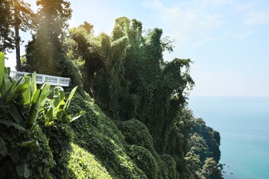 Picturesque view of hills, foliage and sea with clear water