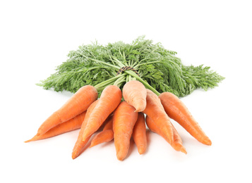 Photo of Bunch of fresh ripe carrots isolated on white