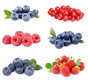 Image of Piles of fresh blueberries and other berries isolated on white, set