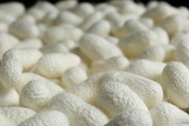 Photo of Heap of white silk cocoons, closeup view