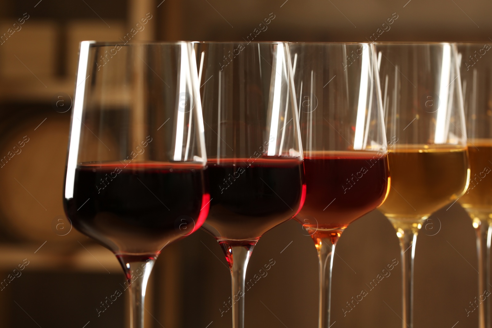 Photo of Glasses of different wines in cellar, closeup. Expensive collection