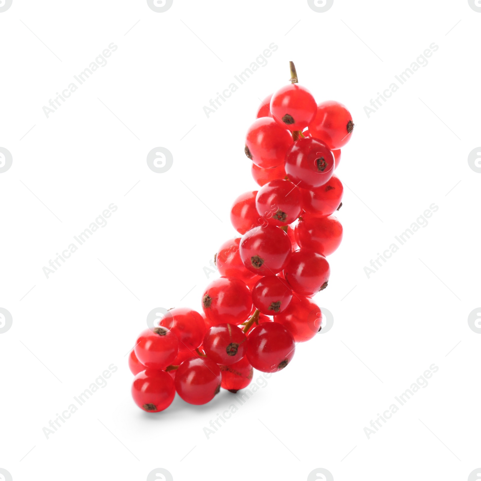 Photo of Delicious ripe red currants isolated on white