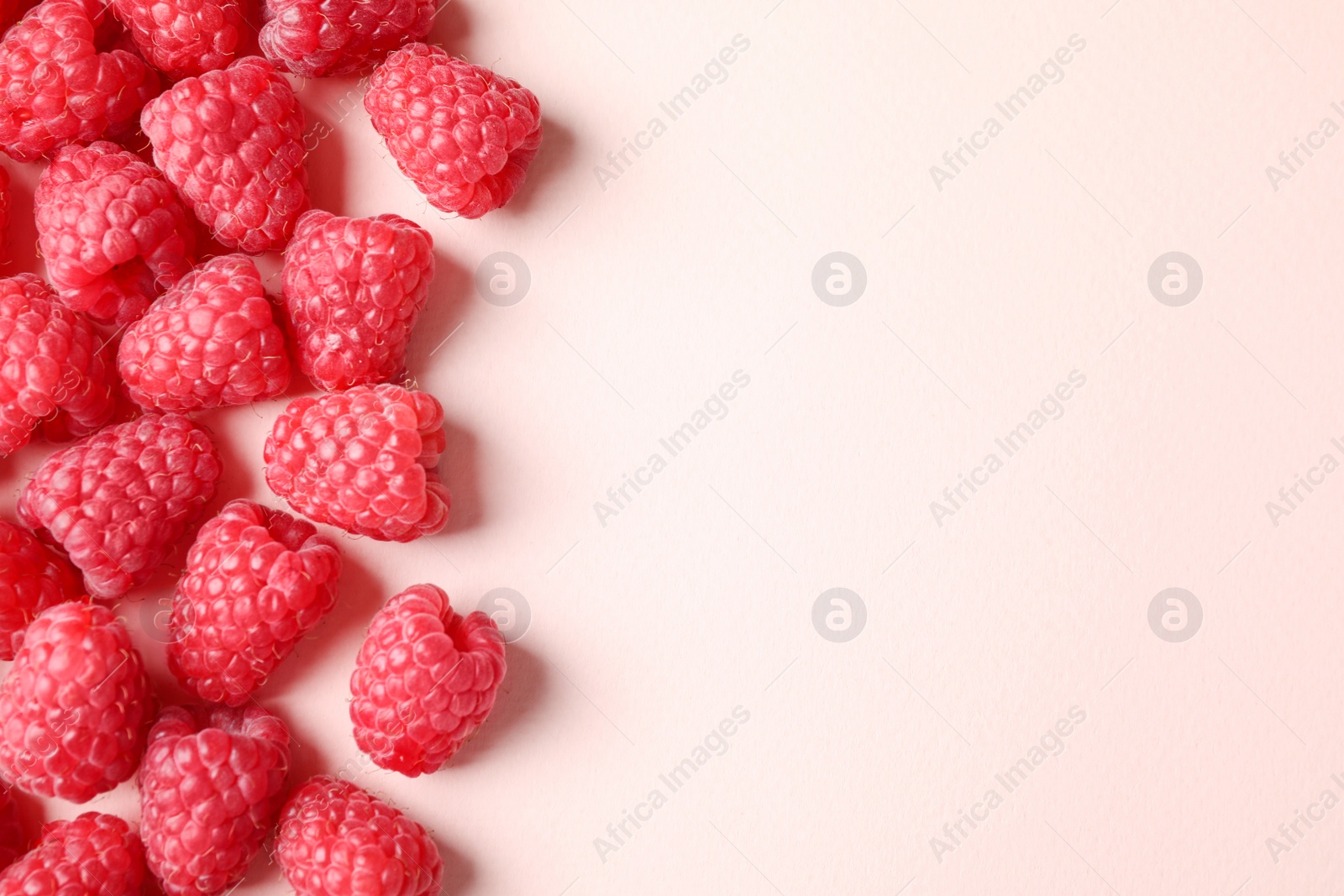 Photo of Fresh sweet ripe raspberries on pink background, flat lay. Space for text