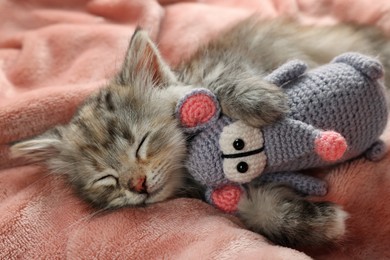 Cute kitten sleeping with toy on soft pink blanket