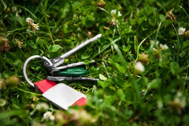 Photo of Keys on green grass outdoors. Lost and found