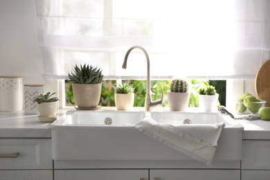 Photo of Beautiful potted plants on countertop near window in kitchen