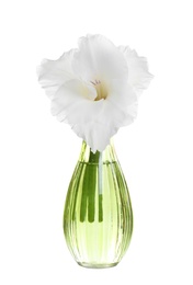 Photo of Vase with beautiful gladiolus flower on white background
