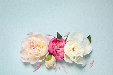 Photo of Beautiful fresh peonies on light blue background, flat lay. Space for text