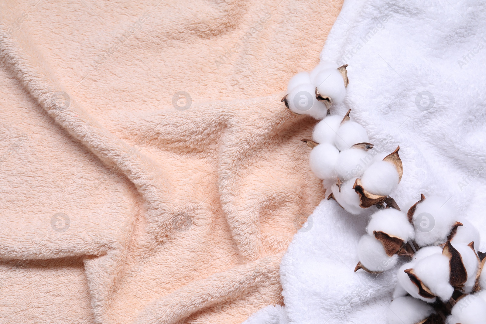 Photo of Cotton branch with fluffy flowers on terry towel, top view. Space for text