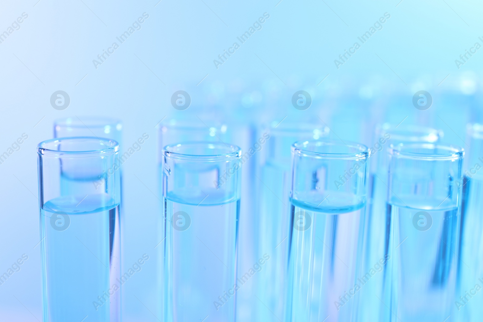 Photo of Many glass test tubes on light blue background, closeup