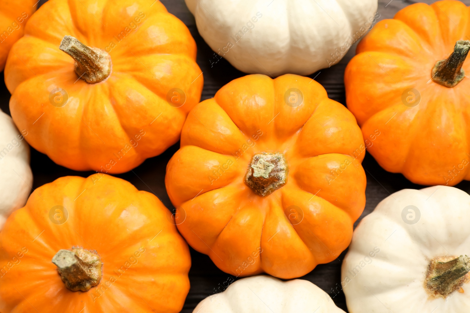 Photo of Many white and orange pumpkins on table, flat lay