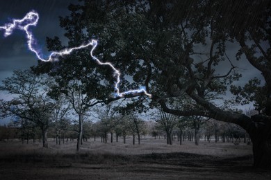 Image of Dark cloudy sky with lightning striking tree. Thunderstorm
