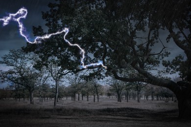 Dark cloudy sky with lightning striking tree. Thunderstorm