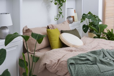 Comfortable bed and different houseplants in bedroom. Interior design