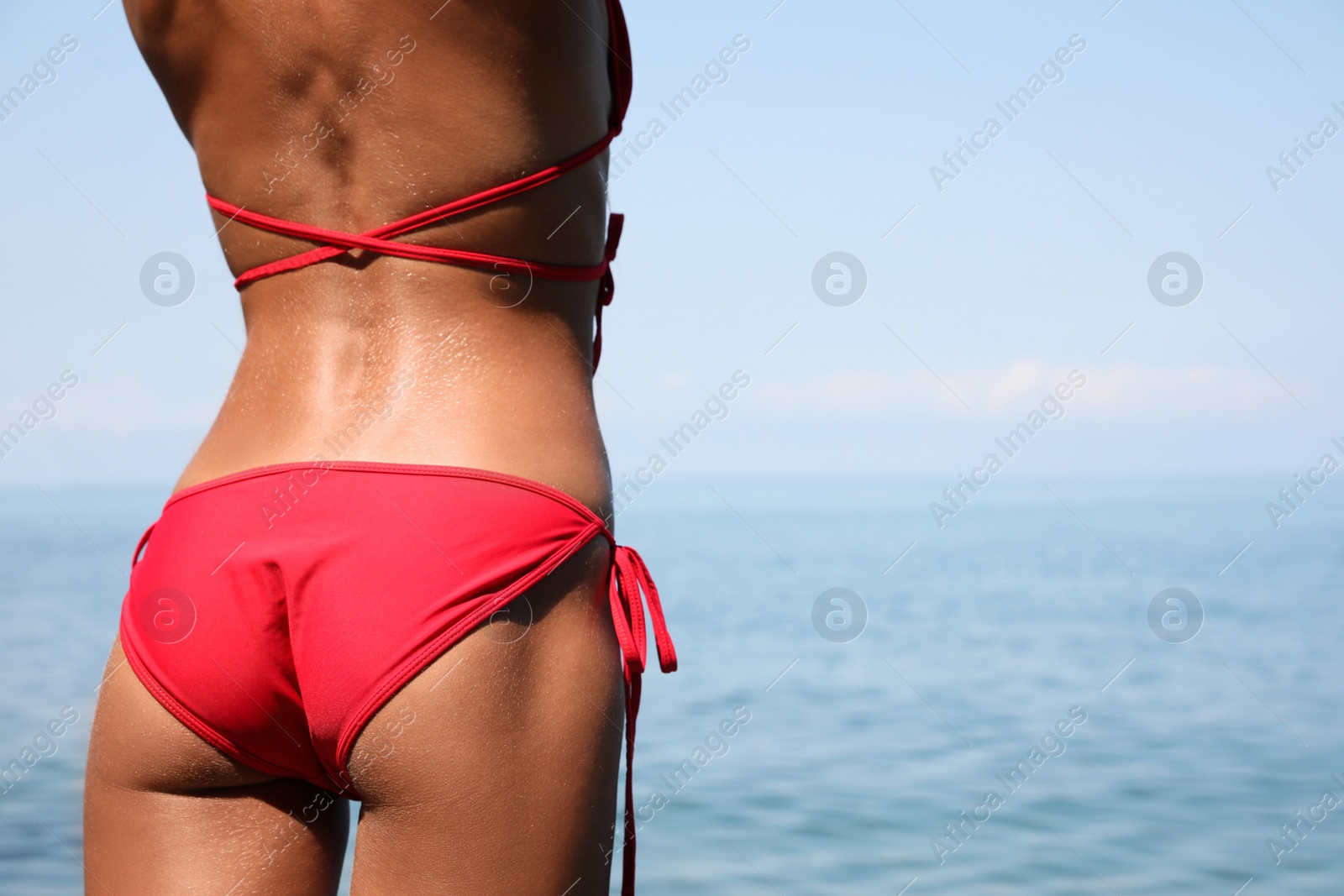 Photo of Sexy young woman in stylish bikini on seashore, closeup. Space for text