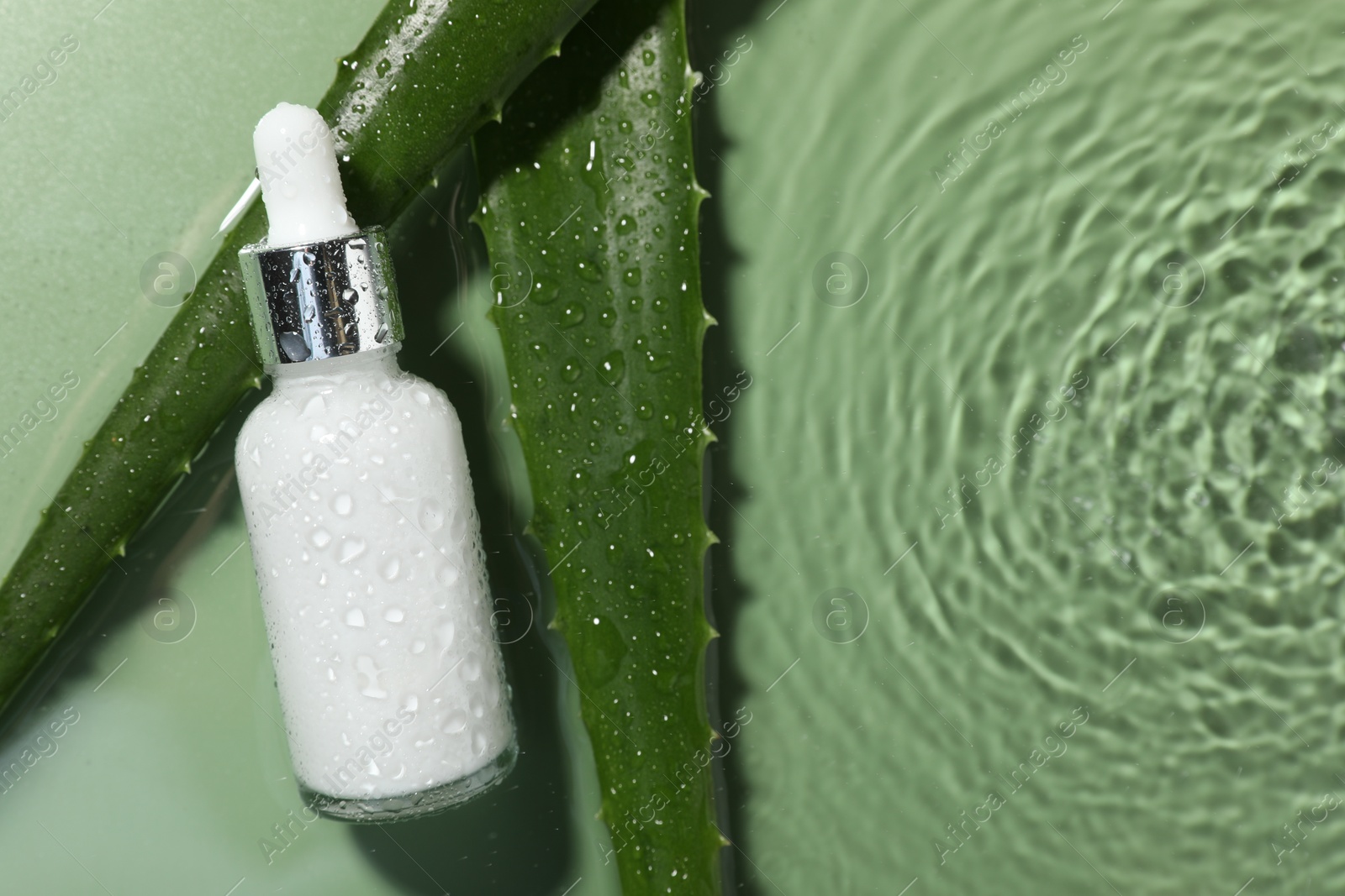 Photo of Bottle of cosmetic product and aloe leaves in water on pale green background, flat lay. Space for text