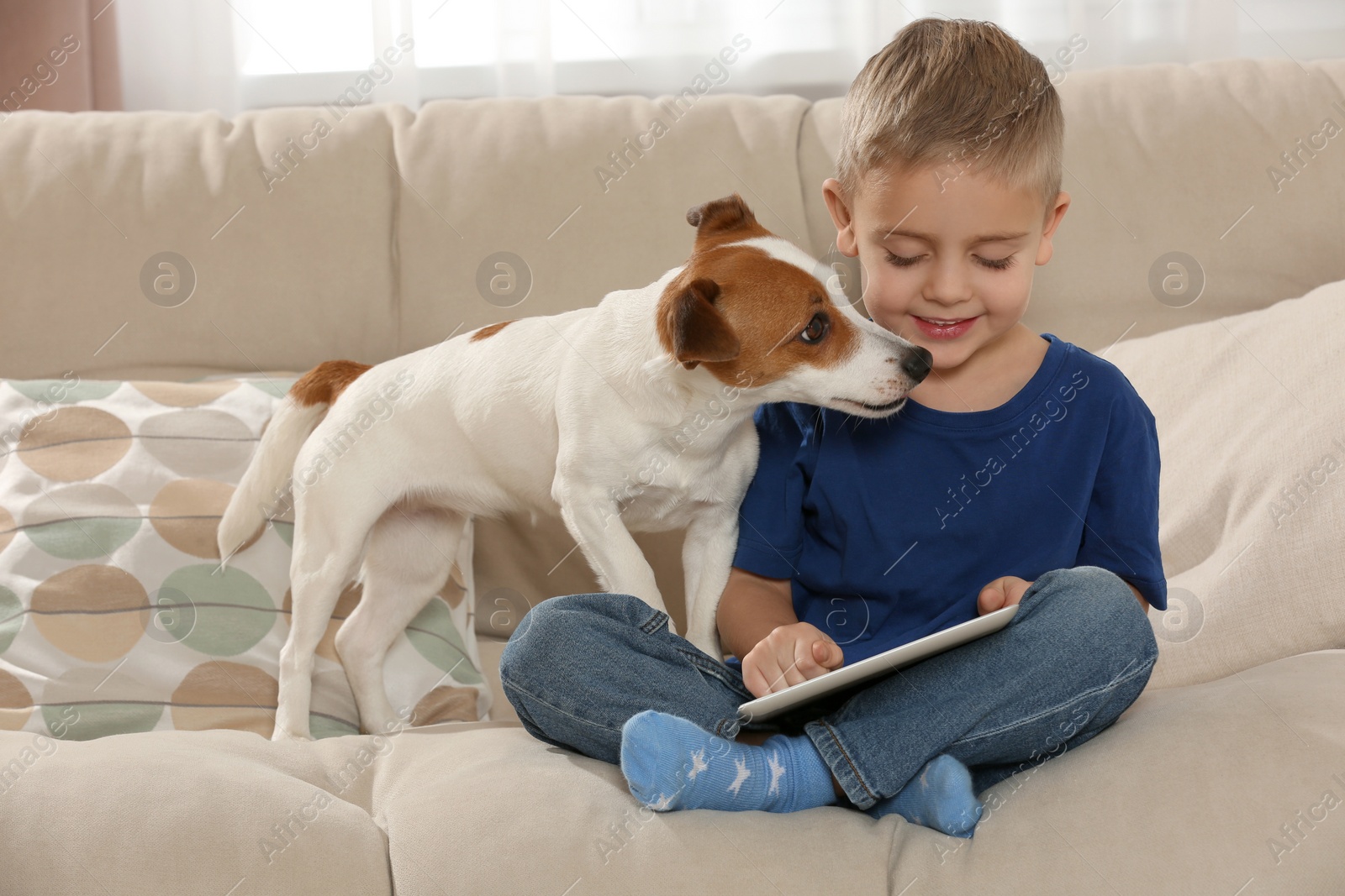 Photo of Little boy with his cute dog on sofa at home. Adorable pet