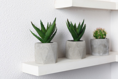 Photo of Beautiful artificial plants in flower pots on shelf