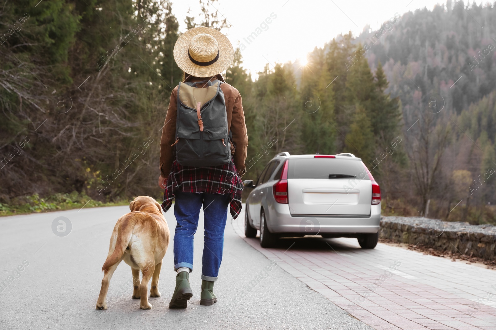 Photo of Woman and adorable dog walking along road, back view. Traveling with pet