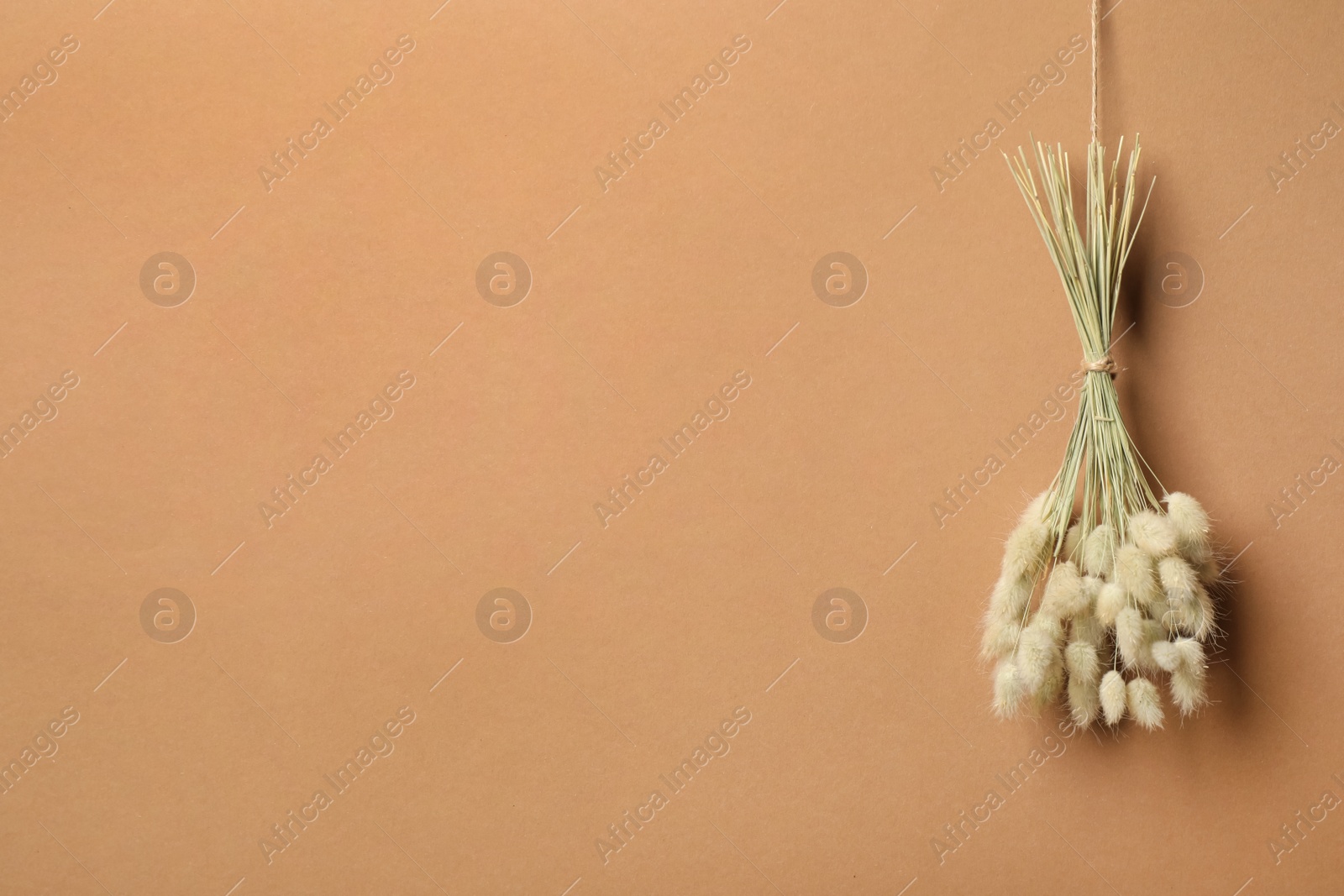 Photo of Bunch of beautiful dried flowers on brown background. Space for text
