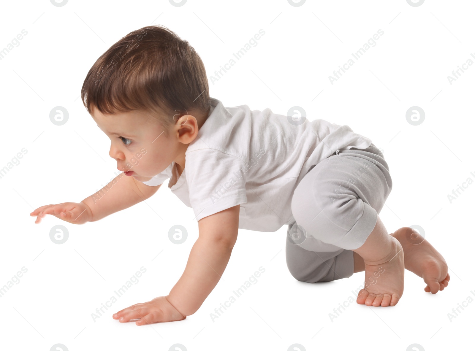 Photo of Cute little baby crawling on white background