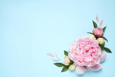 Photo of Beautiful fresh peonies on light blue background, flat lay. Space for text