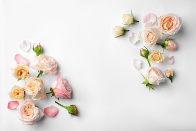 Flat lay composition with beautiful roses and space for text on white background