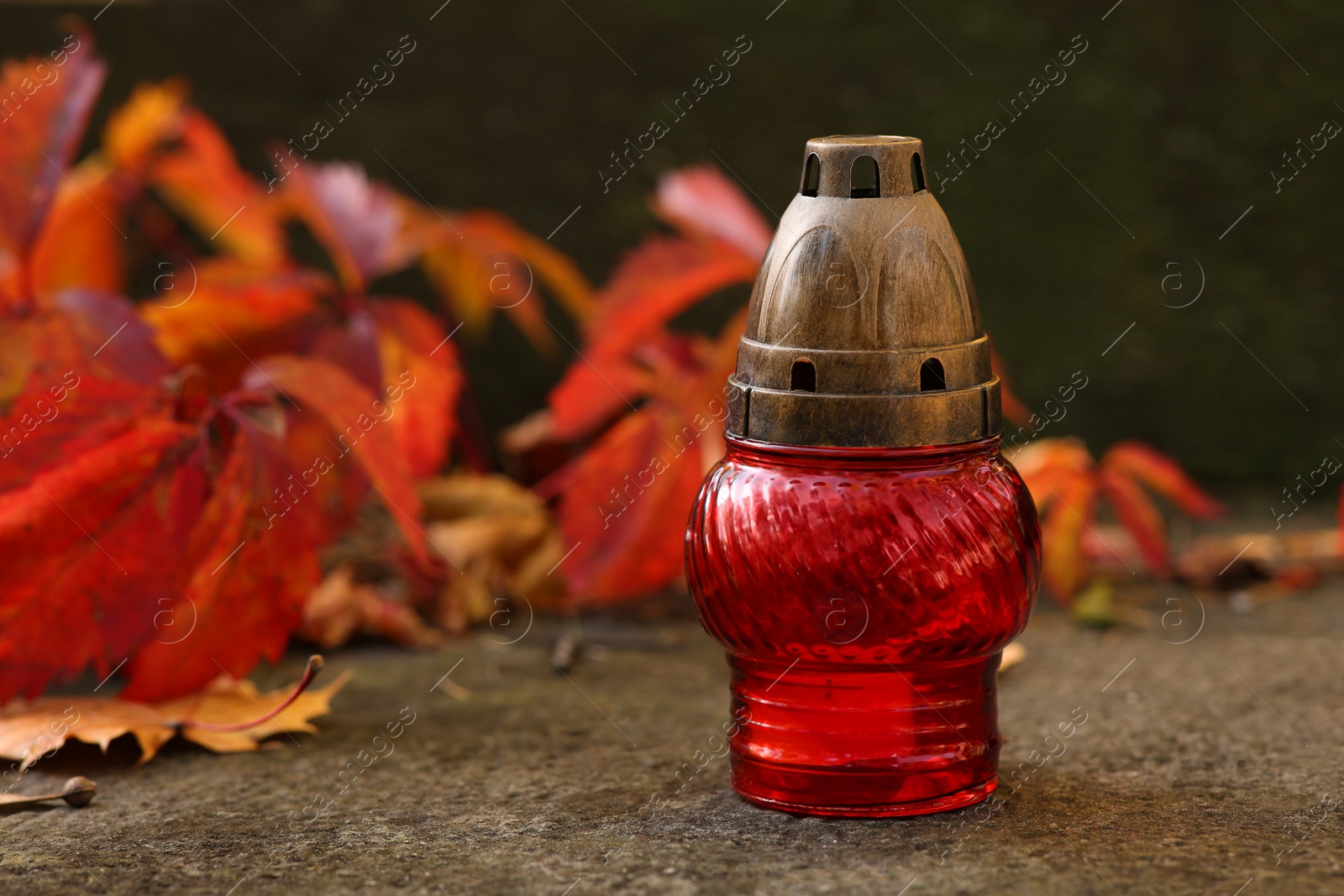 Photo of Red grave lantern and fallen leaves on stone surface in cemetery, space for text