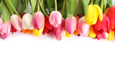 Photo of Beautiful bright tulips on white background, top view. Spring flowers