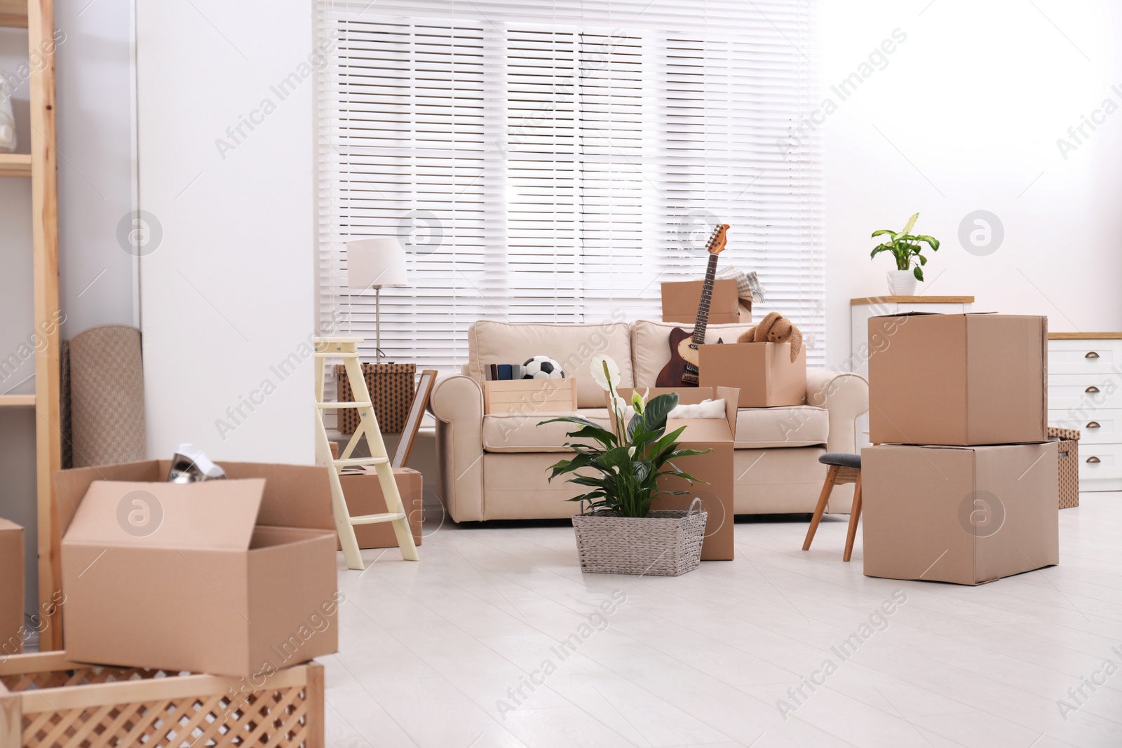 Photo of Cardboard boxes and household stuff in living room. Moving day