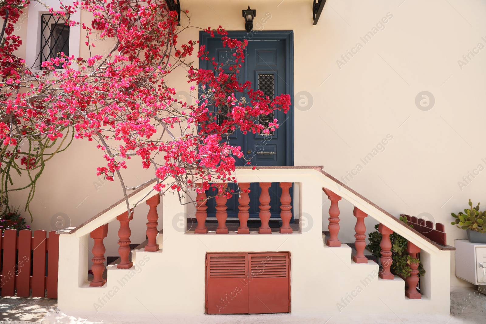 Photo of Plant with beautiful pink flowers near house entrance