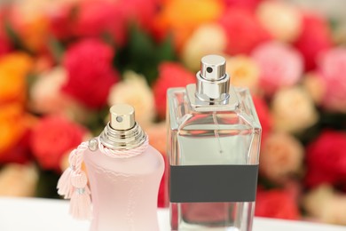 Bottles of perfume against beautiful roses, closeup