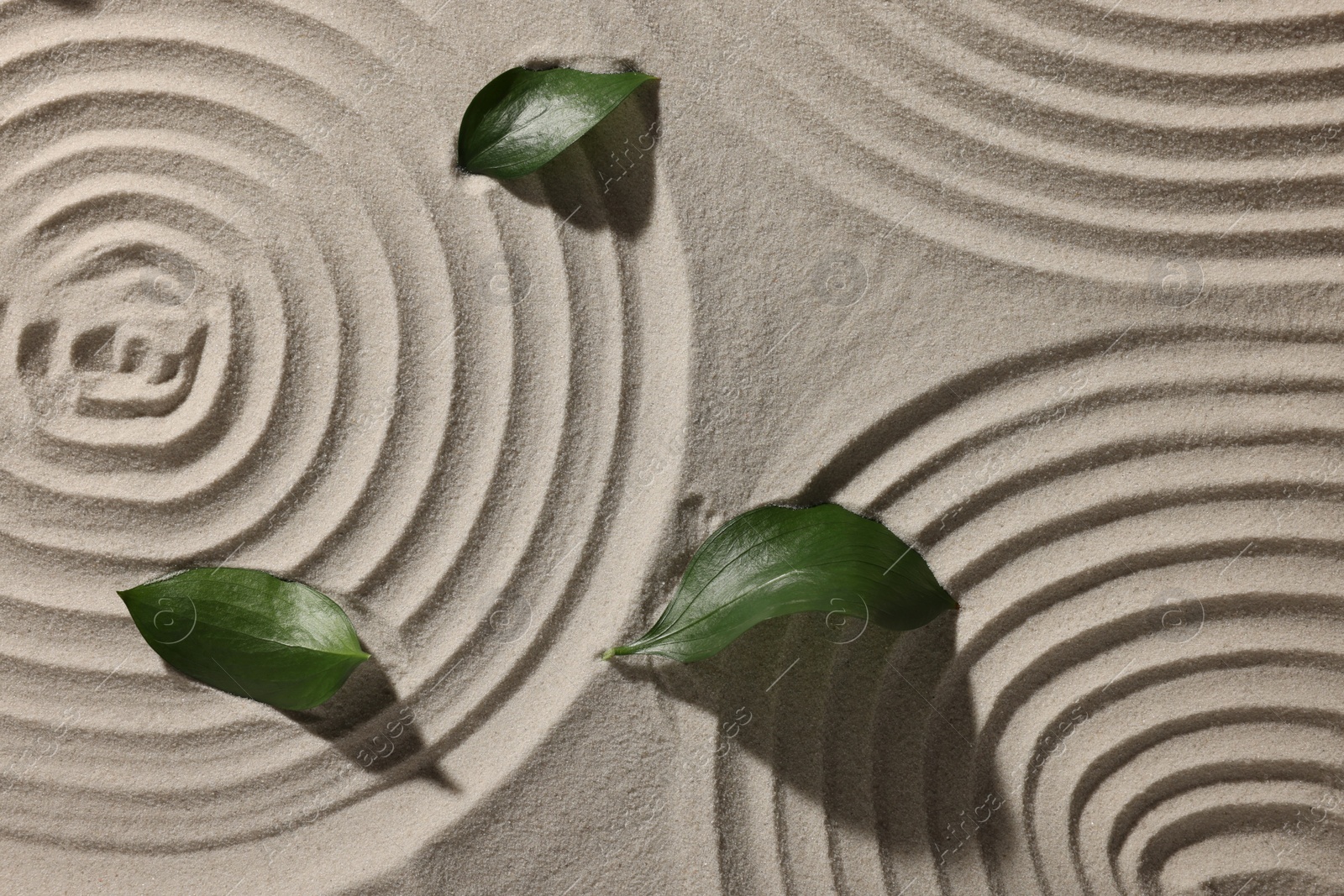 Photo of Beautiful spirals and leaves on sand, top view. Zen garden