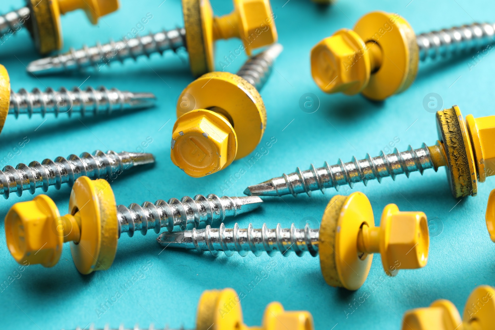 Photo of Yellow self-tapping screws on light blue background, closeup
