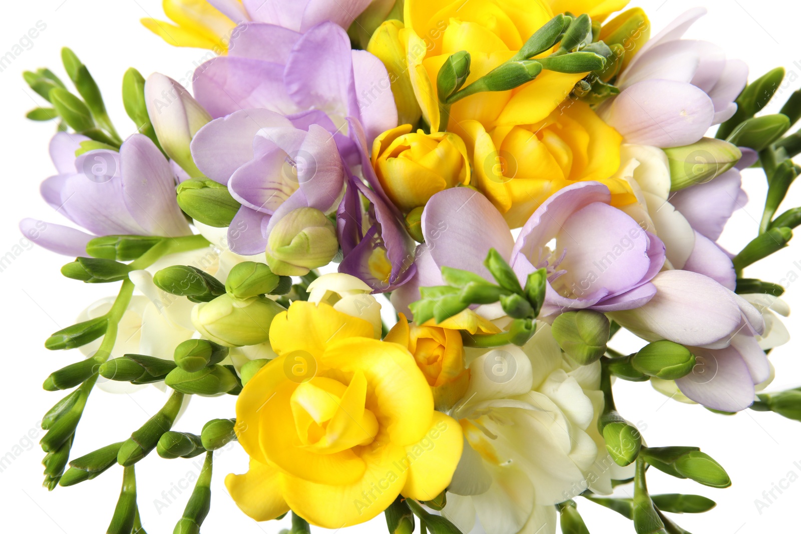 Photo of Bouquet of fresh freesia flowers on white background, top view