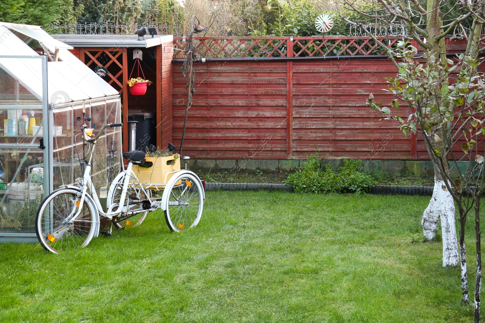 Photo of Beautiful lawn, greenhouse and trees in backyard