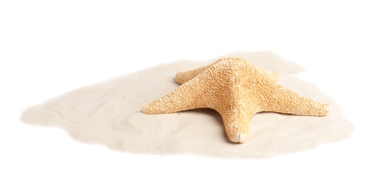 Photo of Pile of beach sand with beautiful starfish on white background