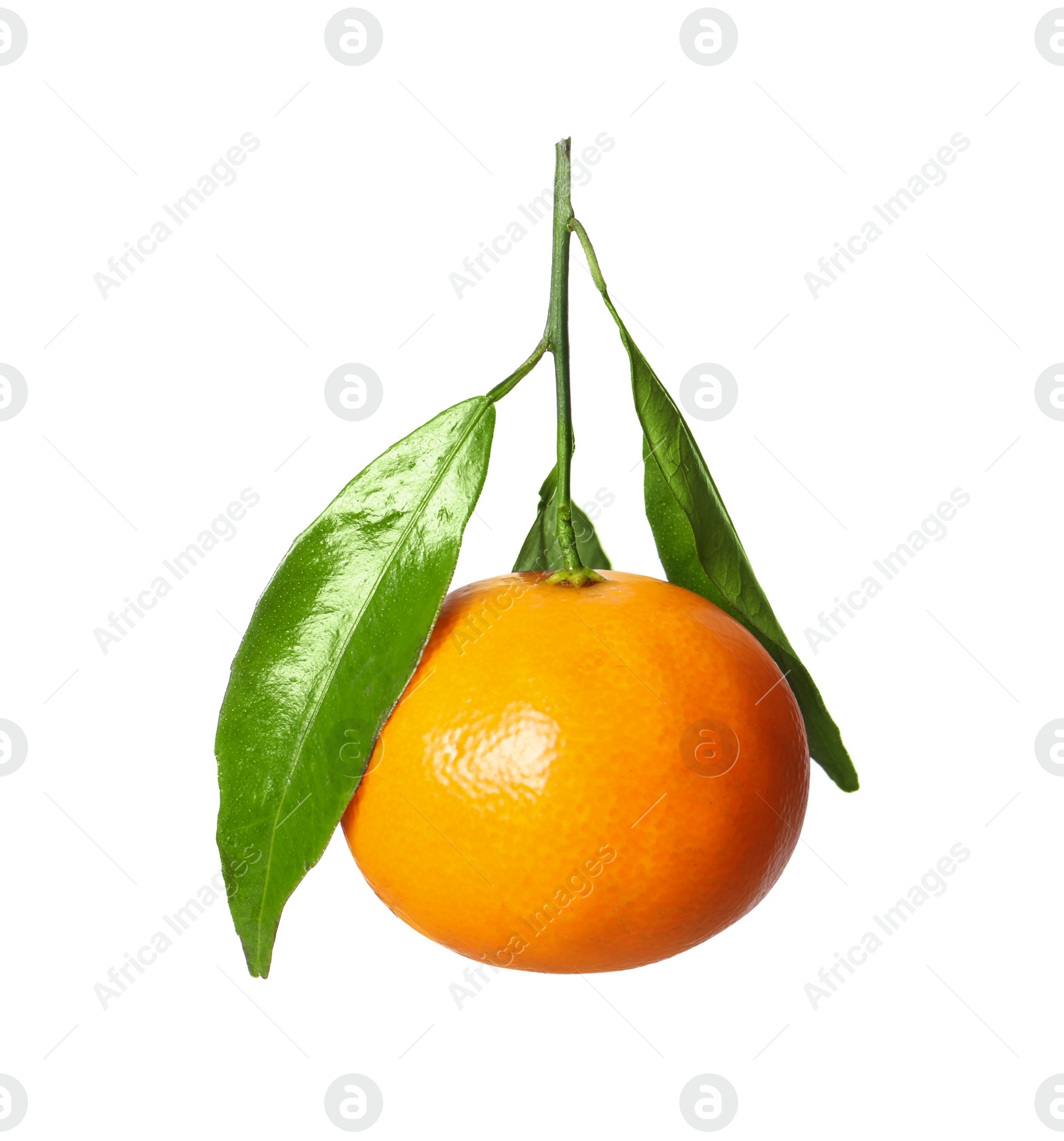 Photo of One fresh tangerine with green leaves isolated on white