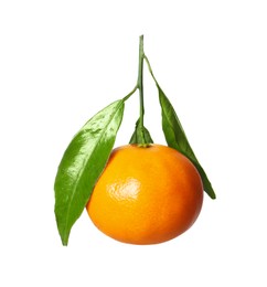 Photo of One fresh tangerine with green leaves isolated on white