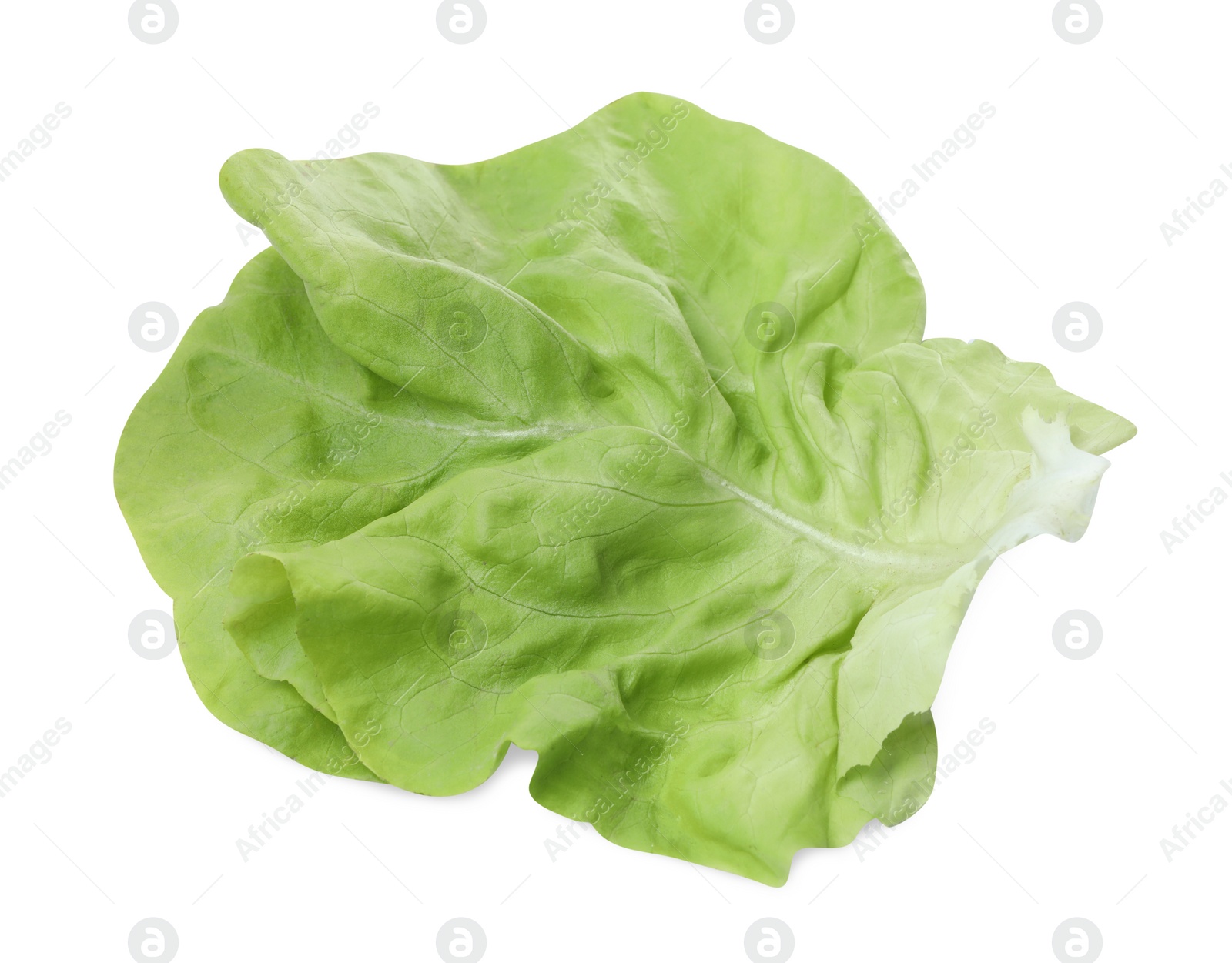 Photo of Fresh leaf of green butter lettuce isolated on white