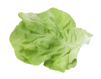 Photo of Fresh leaf of green butter lettuce isolated on white