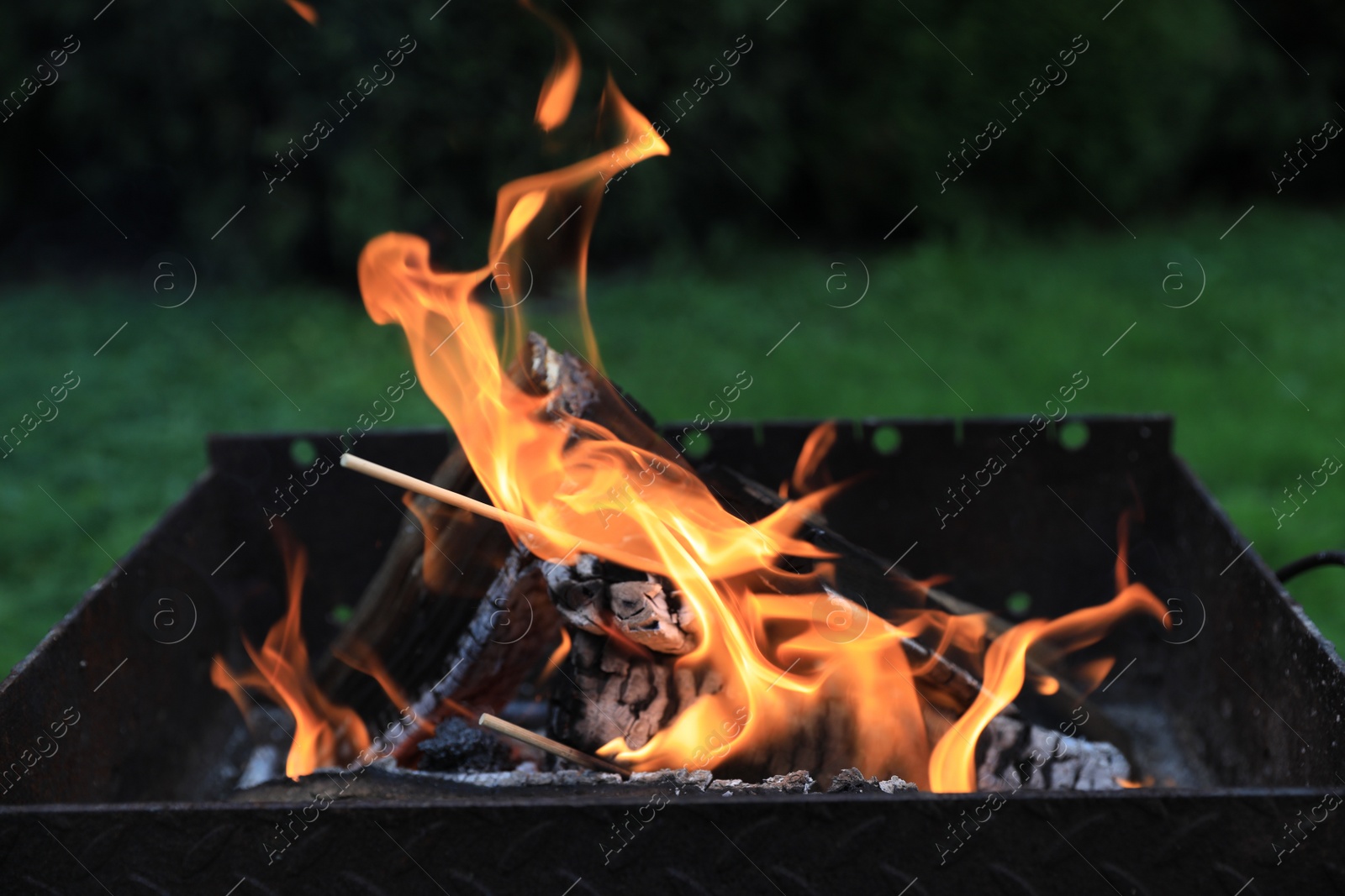 Photo of Metal brazier with burning firewood outdoors, closeup