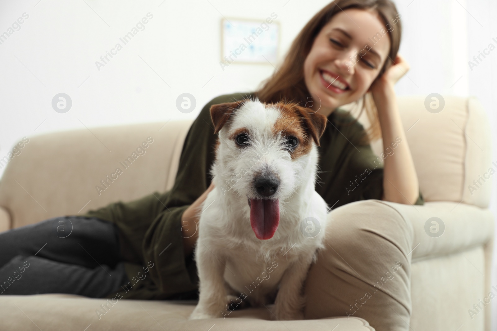 Photo of Young woman with her cute Jack Russell Terrier on sofa at home. Lovely pet