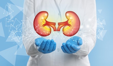 Image of Closeup view of doctor and illustration of kidneys on light blue background