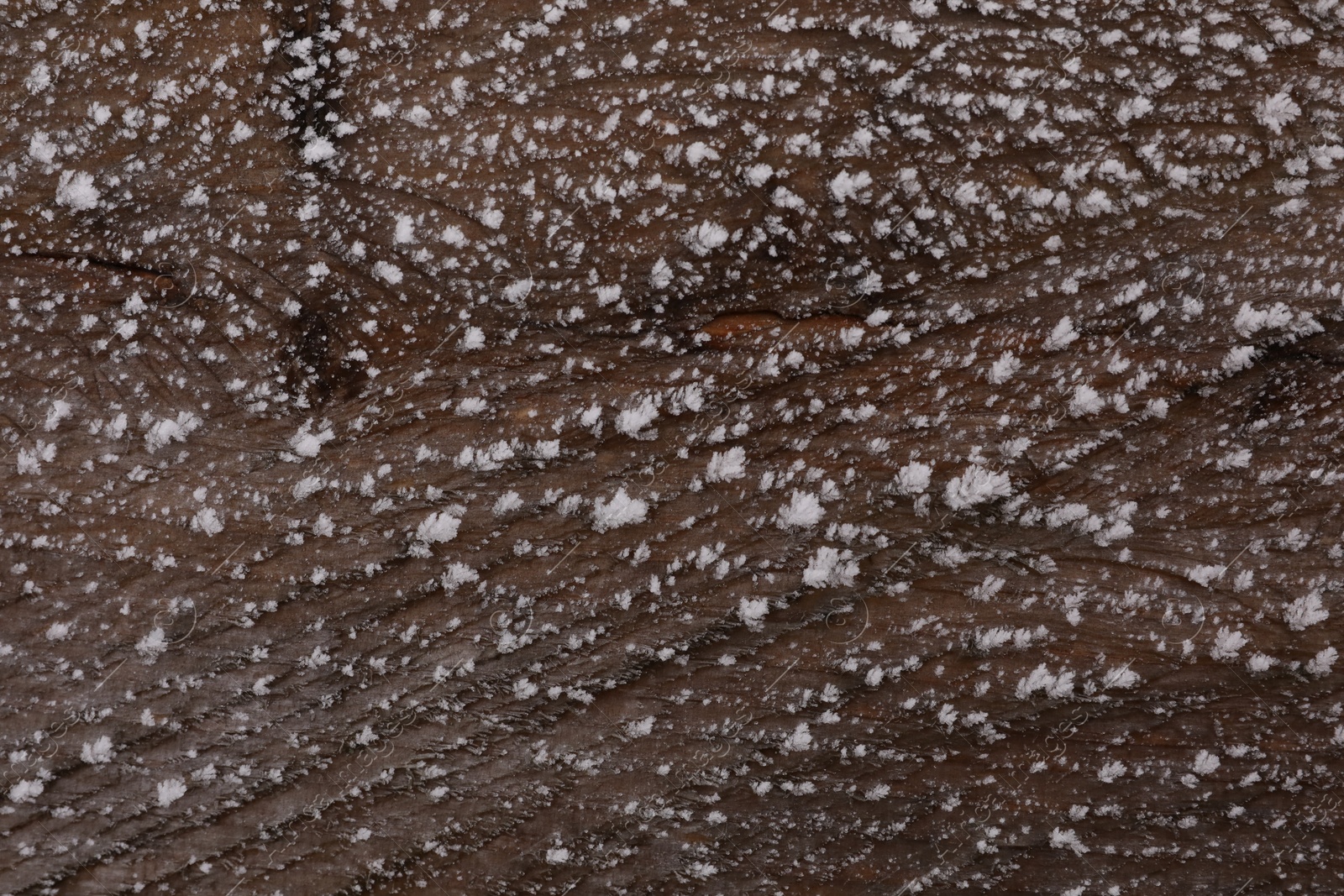 Photo of Wooden wall covered with hoarfrost on snowy day, closeup