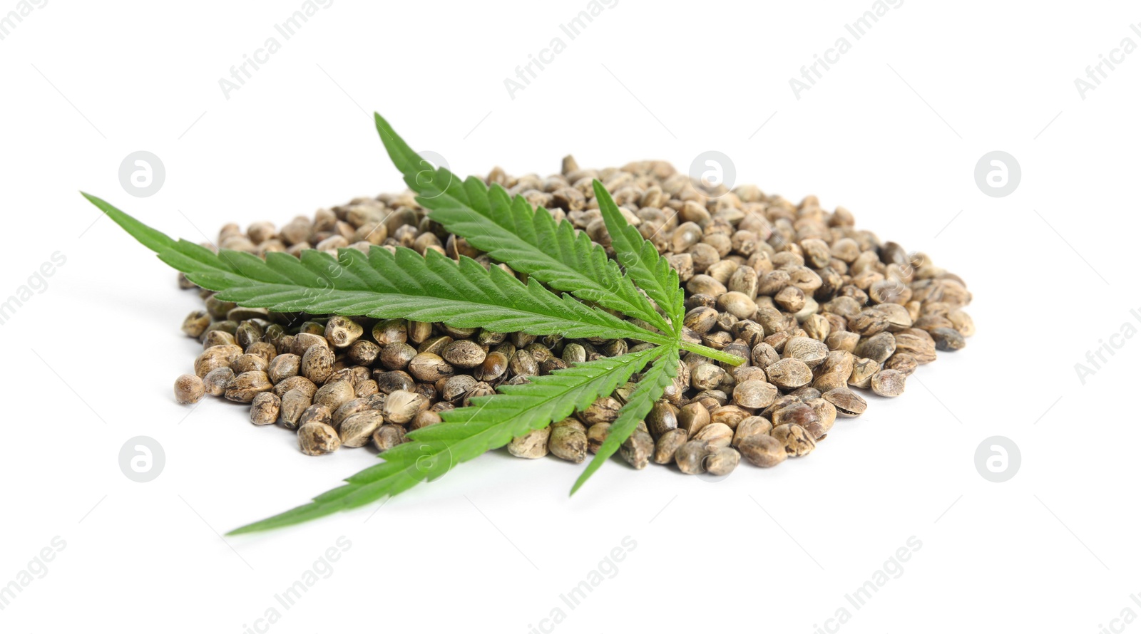 Photo of Pile of hemp seeds and leaf on white background