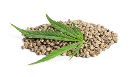 Photo of Pile of hemp seeds and leaf on white background